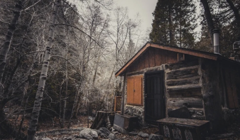 Куче лае по ковчега по време на погребението, съмнителният син го отваря и открива, че е празен.