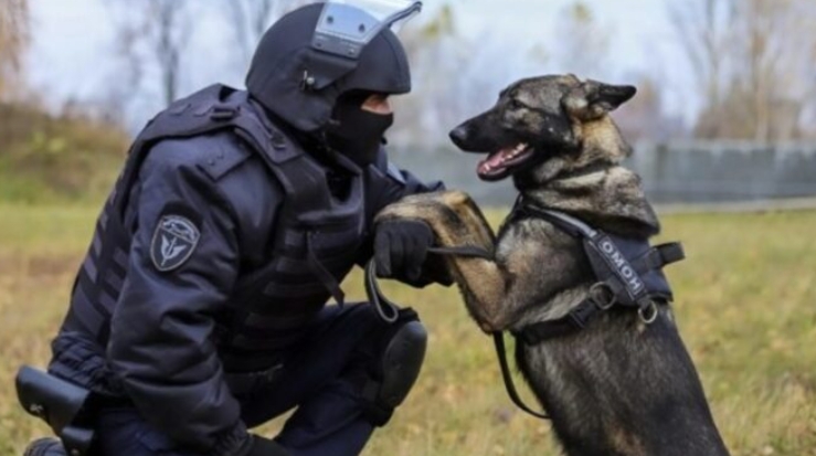 Пастирското куче лаеше срещу ковчега на стопанина си и тъпчеше цветята: когато ковчегът беше отворен, присъстващите онемяха от ужас