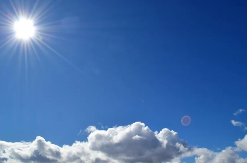 Булката забрани бутилките с вода на сватбата при жега от 39°C заради „естетиката“ – но майката на младоженеца имаше други планове.