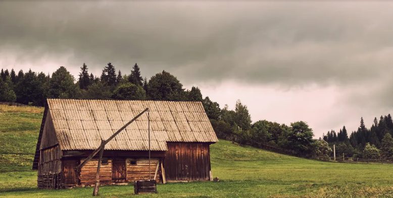 Цялото семейство получи пари, бижута и акции, а аз – стара изоставена ферма. Но именно там, сред прах и тишина, открих тайната, която дядо ми бе пазил до края – и истинския подарък, който беше само за мен.